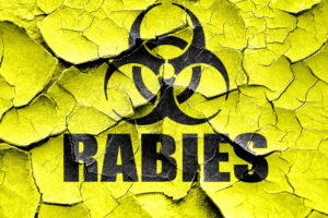 World Rabies Day MCAH