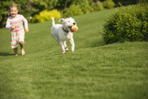 Pet Obesity Awareness Day MCAH 