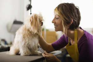 mt. carmel animal hospital pet grooming