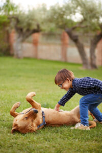 mt. carmel animal hospital itchy pet awareness month