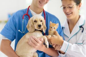 mt. carmel animal hospital NATIONAL PET WELLNESS MONTH