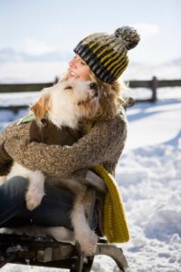 mt. carmel animal hospital cold weather safety for dogs Northern Baltimore